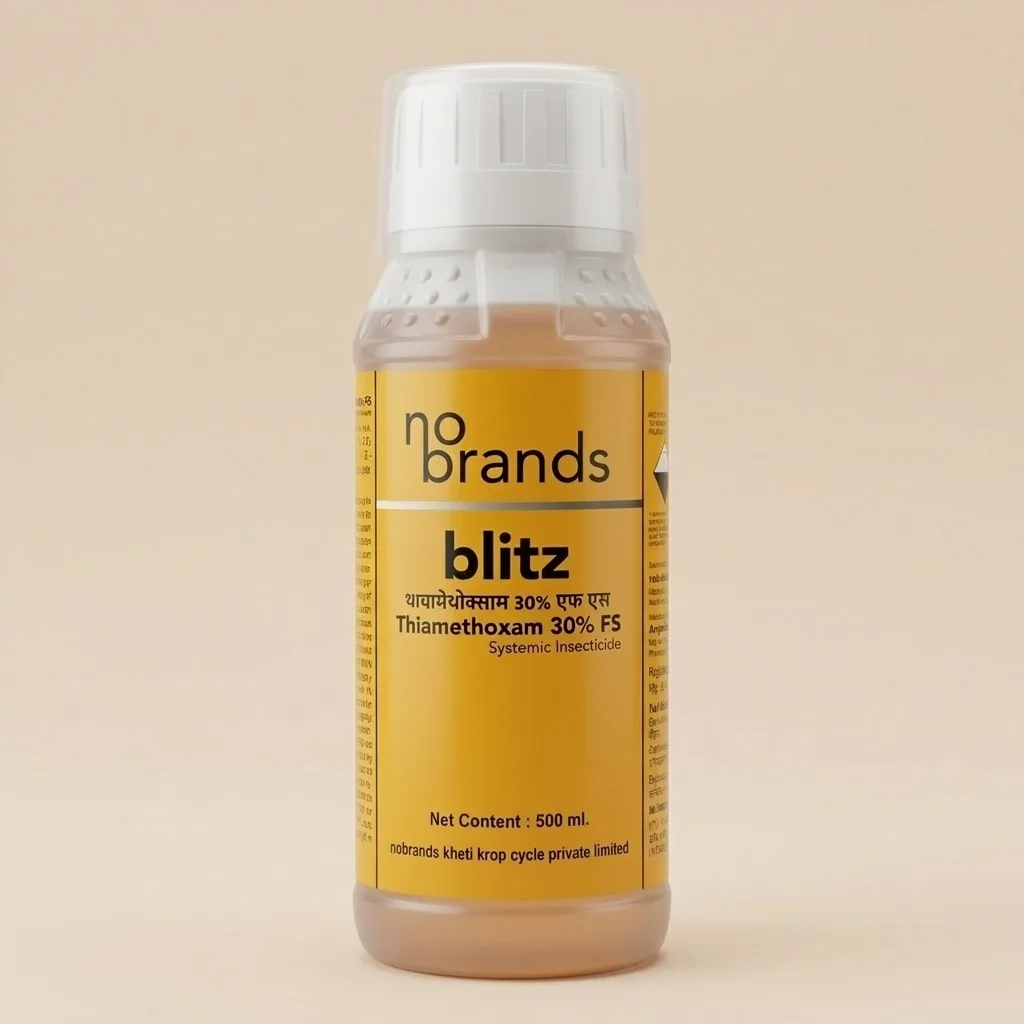 Blitz