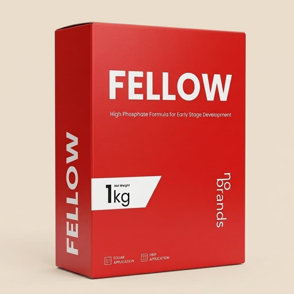 Fellow